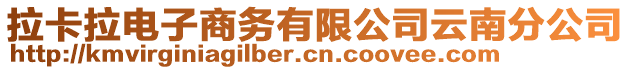 拉卡拉電子商務(wù)有限公司云南分公司