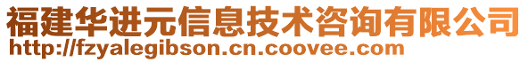 福建華進(jìn)元信息技術(shù)咨詢有限公司