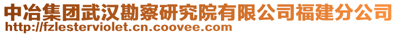 中冶集團(tuán)武漢勘察研究院有限公司福建分公司