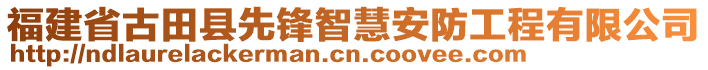 福建省古田縣先鋒智慧安防工程有限公司