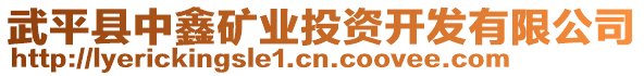 武平縣中鑫礦業(yè)投資開發(fā)有限公司