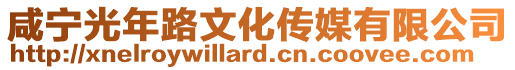 咸寧光年路文化傳媒有限公司