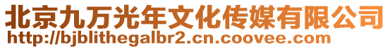 北京九萬光年文化傳媒有限公司