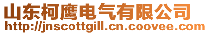 山東柯鷹電氣有限公司