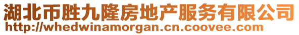 湖北幣勝九隆房地產(chǎn)服務(wù)有限公司