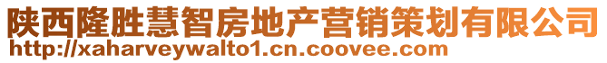 陜西隆勝慧智房地產(chǎn)營(yíng)銷(xiāo)策劃有限公司