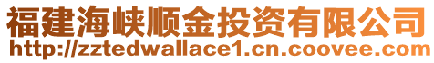 福建海峽順金投資有限公司