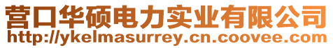 營(yíng)口華碩電力實(shí)業(yè)有限公司