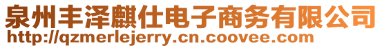 泉州豐澤麒仕電子商務(wù)有限公司