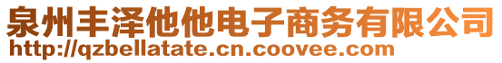 泉州豐澤他他電子商務(wù)有限公司