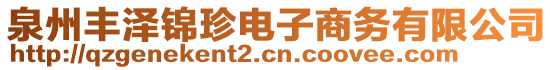 泉州豐澤錦珍電子商務有限公司