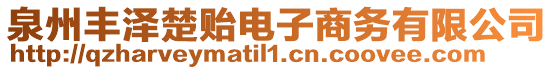 泉州豐澤楚貽電子商務(wù)有限公司