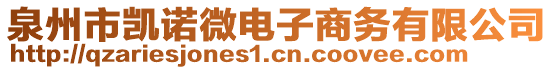 泉州市凱諾微電子商務(wù)有限公司