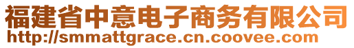 福建省中意電子商務(wù)有限公司