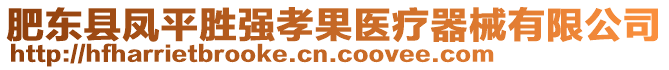 肥東縣鳳平勝?gòu)?qiáng)孝果醫(yī)療器械有限公司