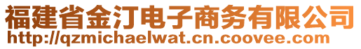 福建省金汀電子商務有限公司