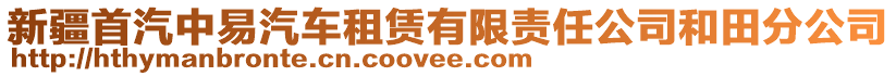 新疆首汽中易汽車租賃有限責(zé)任公司和田分公司