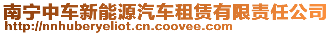 南宁中车新能源汽车租赁有限责任公司