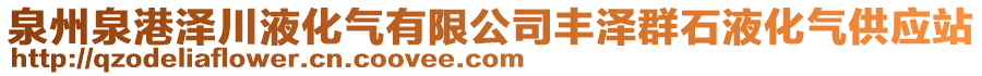 泉州泉港泽川液化气有限公司丰泽群石液化气供应站