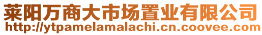 萊陽萬商大市場置業有限公司