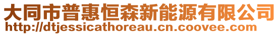 大同市普惠恒森新能源有限公司