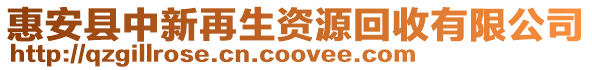 惠安縣中新再生資源回收有限公司