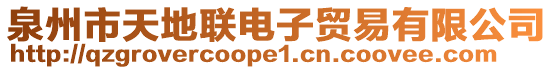 泉州市天地聯電子貿易有限公司