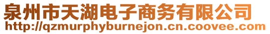 泉州市天湖電子商務有限公司