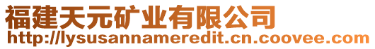 福建天元礦業(yè)有限公司