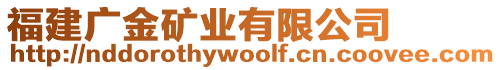 福建廣金礦業(yè)有限公司