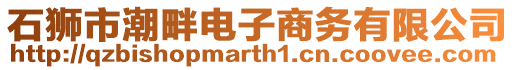 石獅市潮畔電子商務有限公司