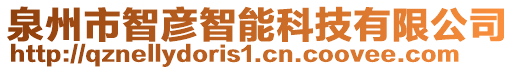 泉州市智彥智能科技有限公司