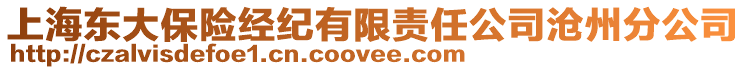 上海東大保險(xiǎn)經(jīng)紀(jì)有限責(zé)任公司滄州分公司