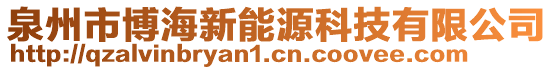 泉州市博海新能源科技有限公司