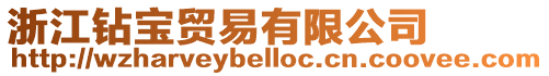 浙江鉆寶貿(mào)易有限公司