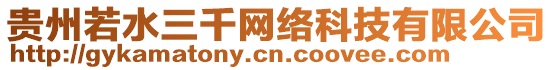 貴州若水三千網(wǎng)絡(luò)科技有限公司