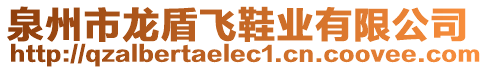 泉州市龍盾飛鞋業(yè)有限公司