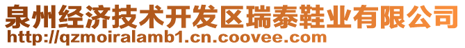 泉州經(jīng)濟技術(shù)開發(fā)區(qū)瑞泰鞋業(yè)有限公司