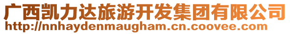 廣西凱力達(dá)旅游開發(fā)集團(tuán)有限公司