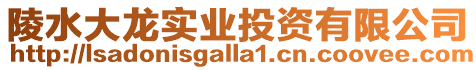 陵水大龍實業投資有限公司