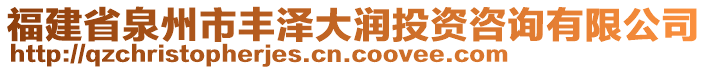 福建省泉州市豐澤大潤投資咨詢有限公司