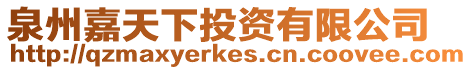 泉州嘉天下投資有限公司