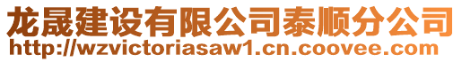 龍晟建設(shè)有限公司泰順?lè)止? style=