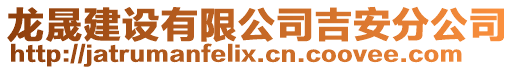 龍晟建設有限公司吉安分公司