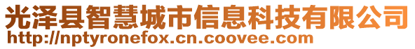 光澤縣智慧城市信息科技有限公司