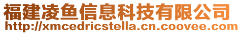 福建凌魚(yú)信息科技有限公司