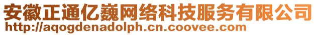 安徽正通億巍網(wǎng)絡(luò)科技服務(wù)有限公司