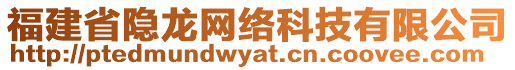 福建省隱龍網(wǎng)絡(luò)科技有限公司