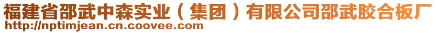 福建省邵武中森實業(yè)（集團）有限公司邵武膠合板廠