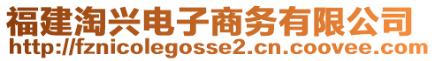 福建淘興電子商務有限公司